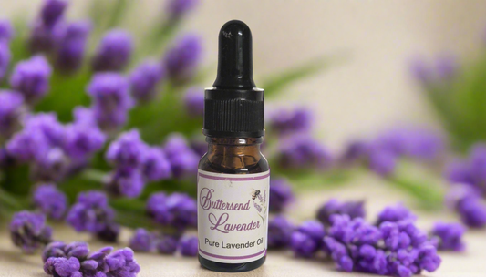 10ml Pure English Lavender Oil